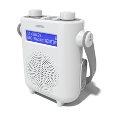 DAB/DAB & FM Digital Shower